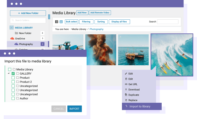 Import OneDrive Personal Media in WordPress