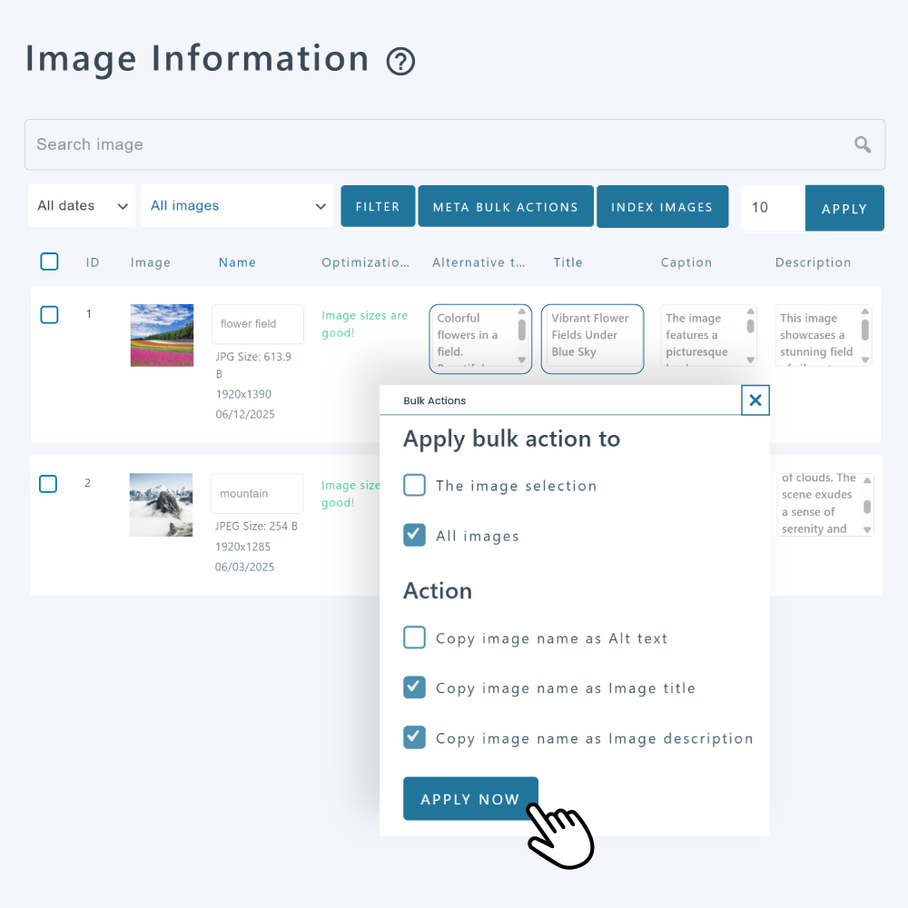 Edição em massa de texto do título da imagem e texto alternativo