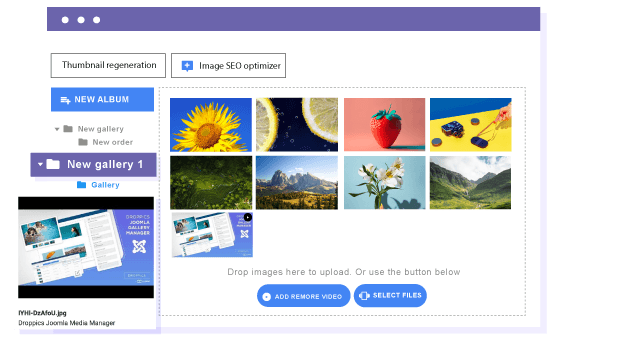 Image and Video Multi-Level Galleries