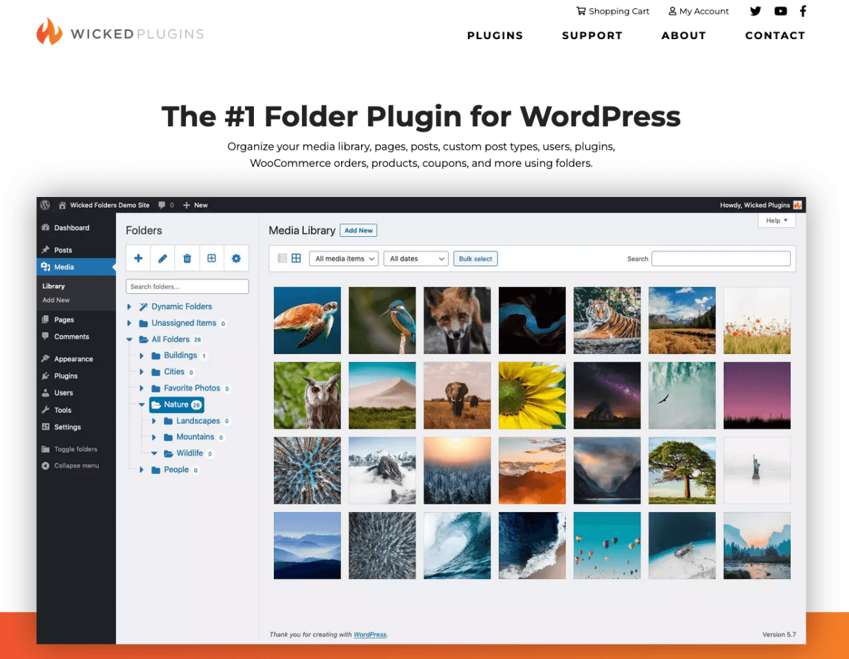 Wicked Folders Biblioteka multimediów WordPress