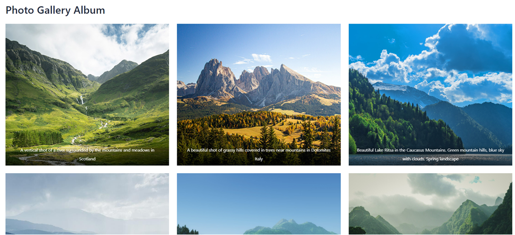 Success Create Photo Gallery Using Block Editor - Create a Photo Gallery with Albums in WordPress