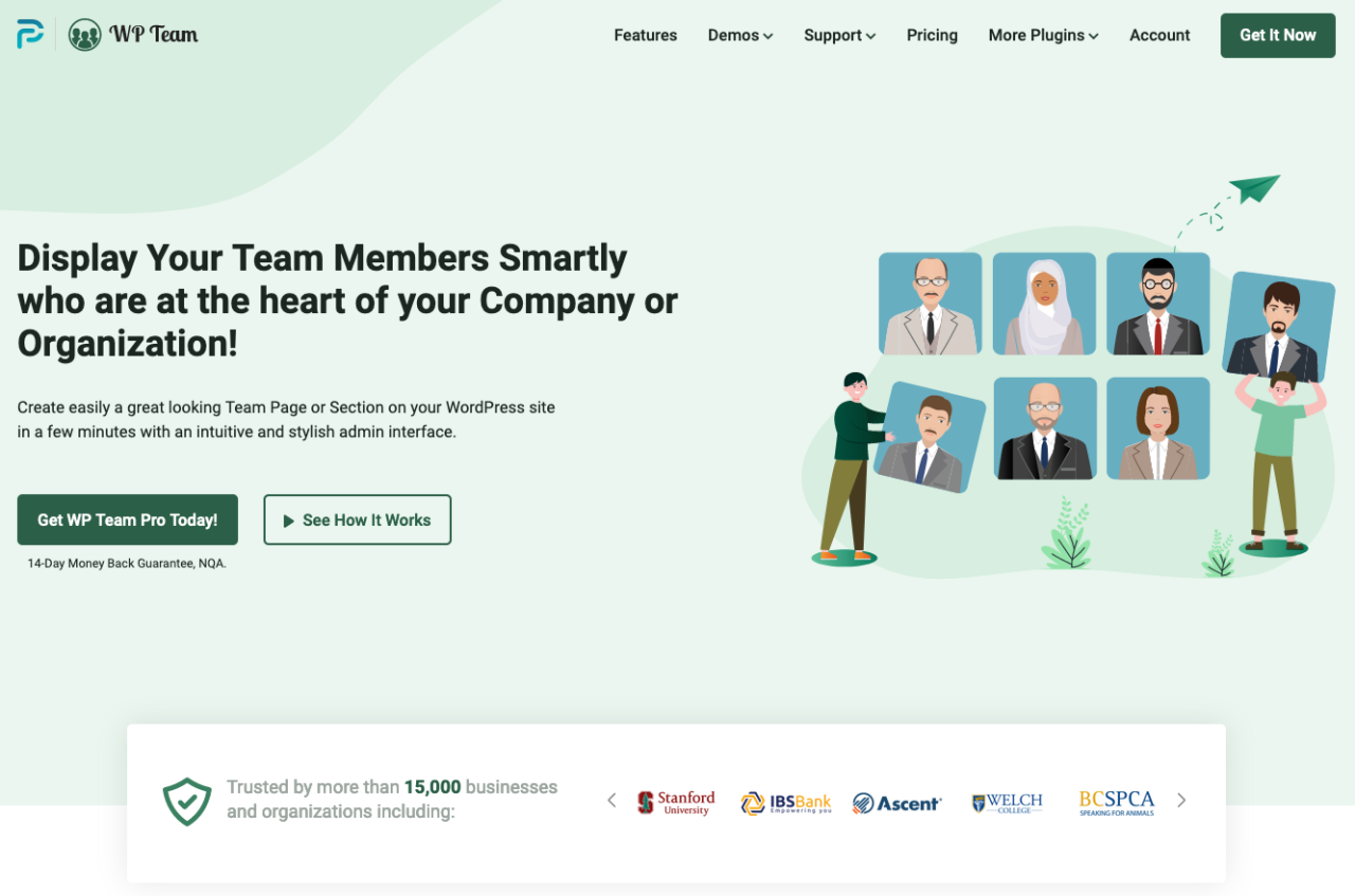 Best WordPress Team Showcase Plugin