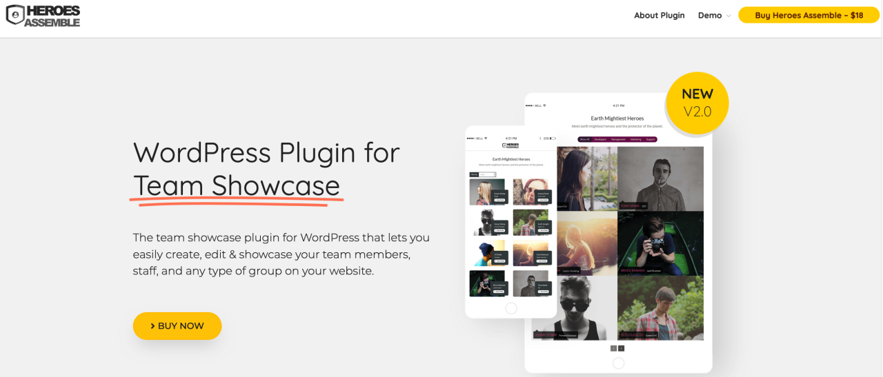 Plug-in Vetrina del team per WordPress