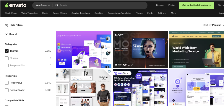 Thị trường Theme WordPress Premium