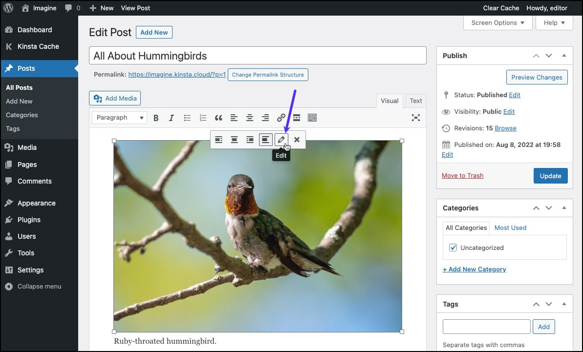 Clique em Editar - Como adicionar legendas de imagens no WordPress