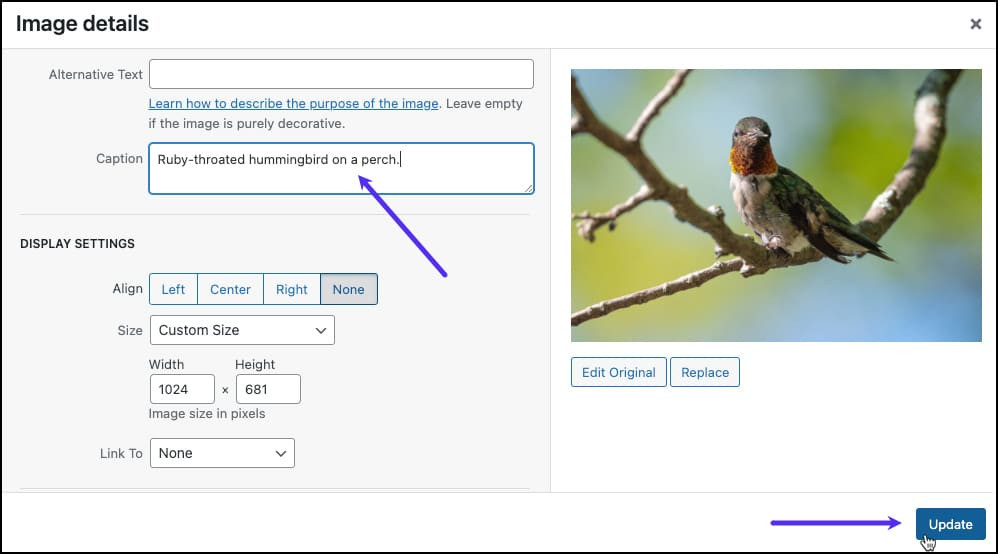 Edit Caption - How to Add WordPress Image Captions