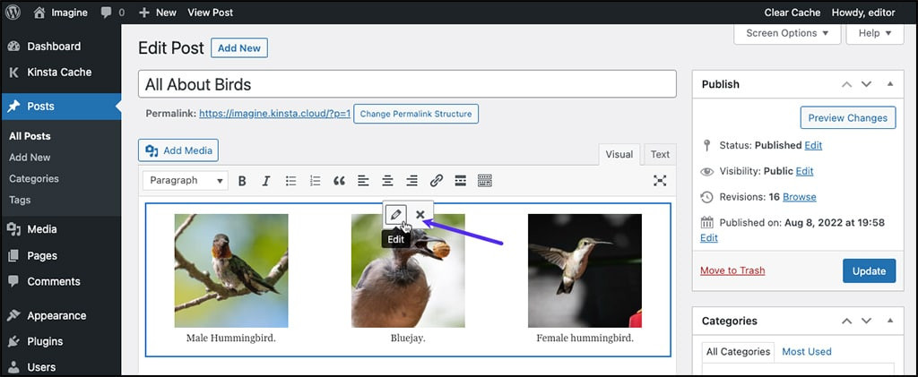 Modifier la légende - Comment ajouter des légendes d&#39;images WordPress