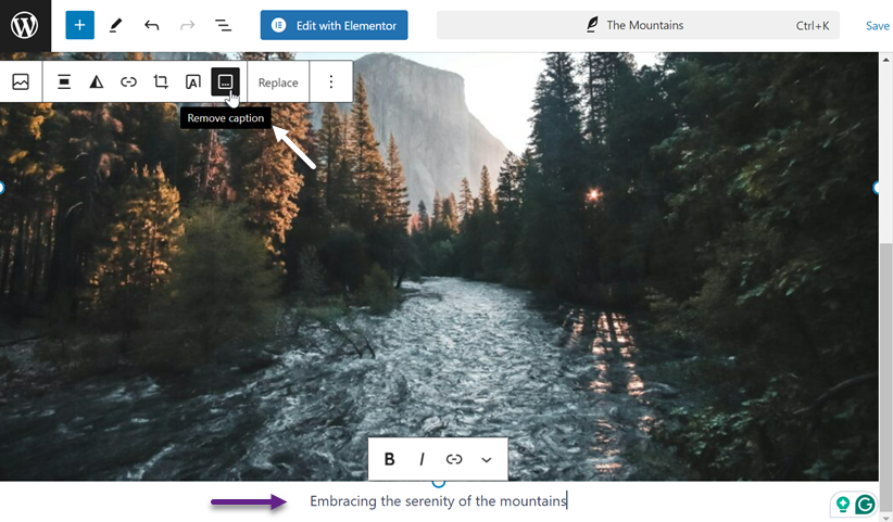 View Of Caption - Cara Menambahkan Caption Gambar WordPress